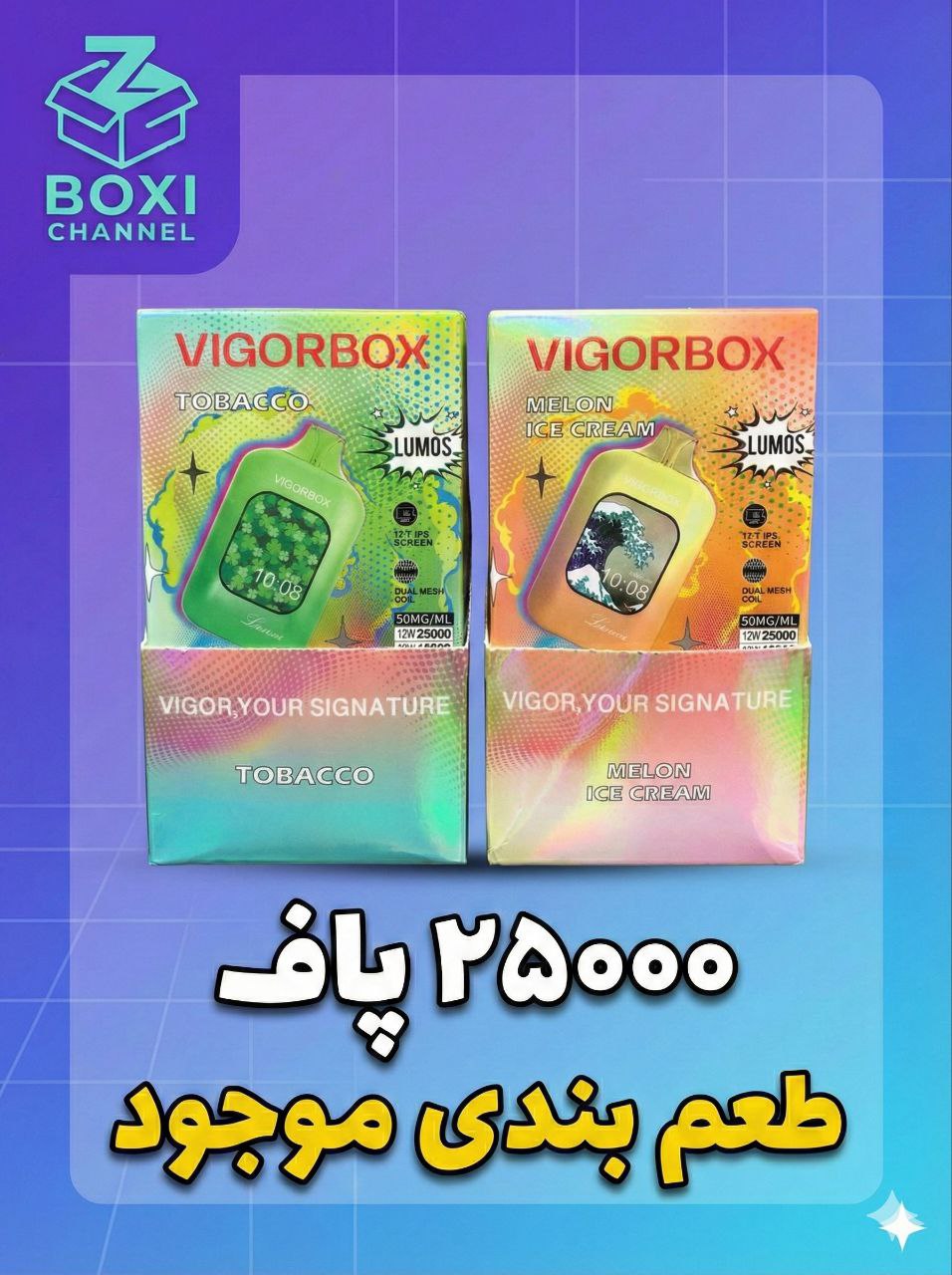 Vigorbox 25000